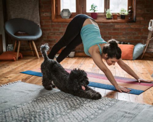 Downward Facing Dog Free Yoga