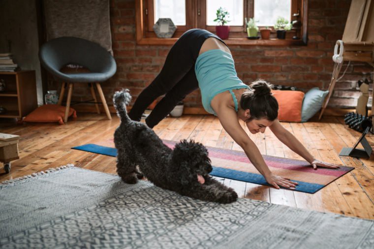 Downward Facing Dog Free Yoga